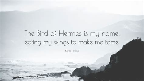 the bird of hermes line.